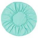 sf2-058838-mint.jpg
