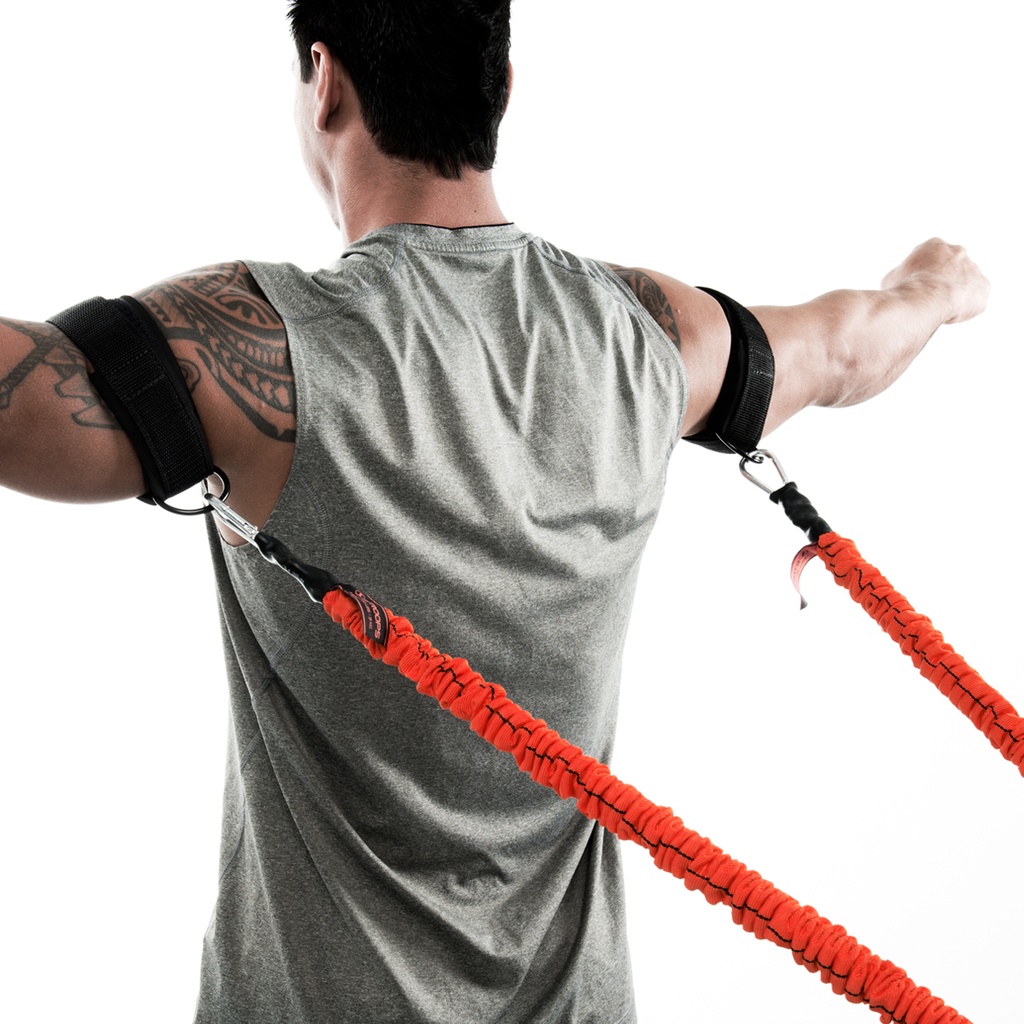 shoulder-surge-3_1.jpg