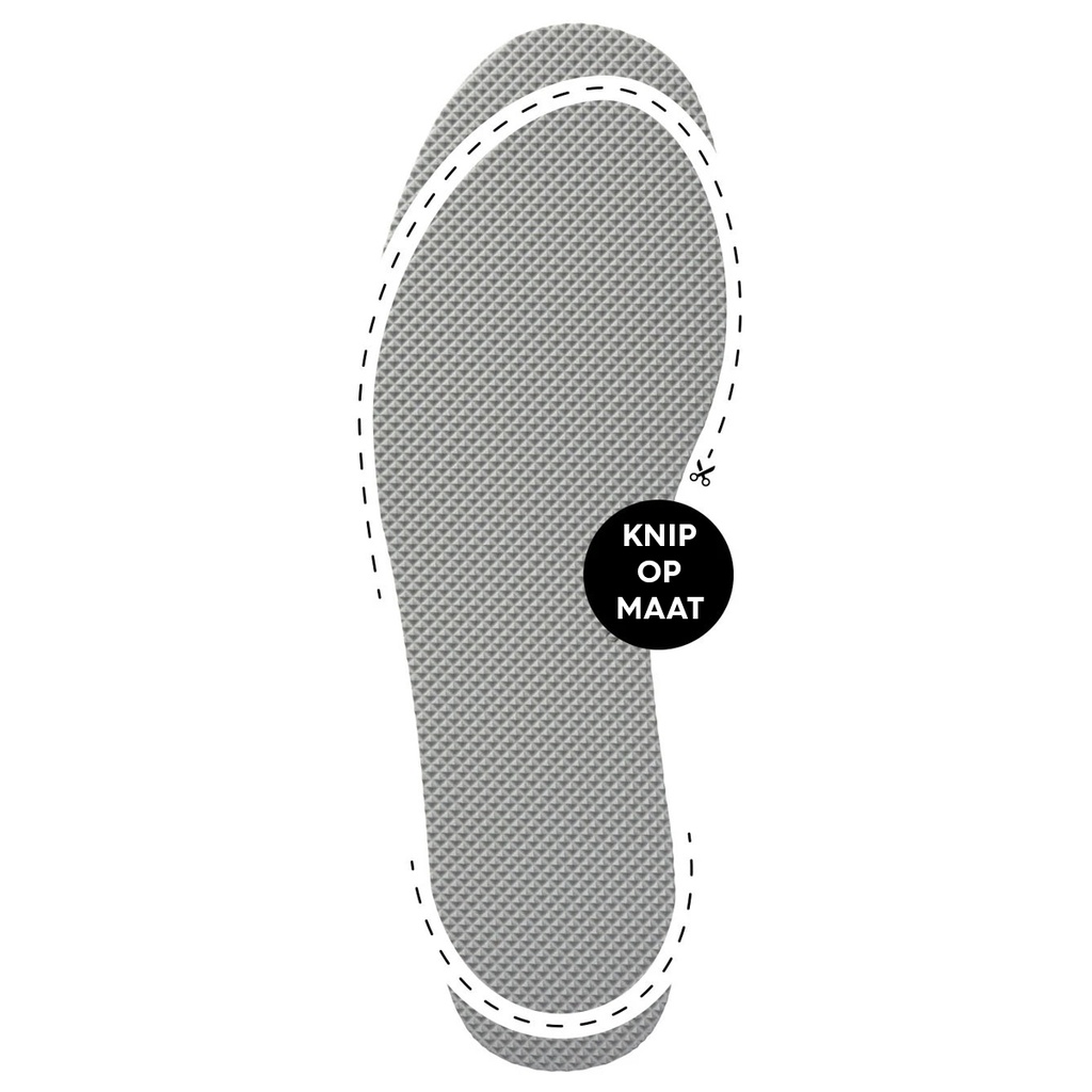 naboso-neuro-insole-5_1_1.jpg