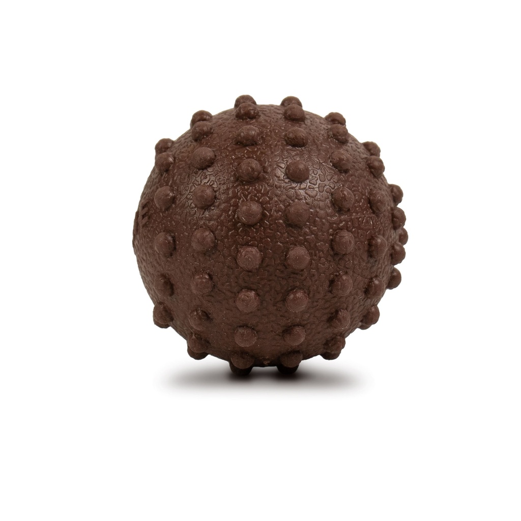 [BH-11112] BAHE - THERAPY BALL