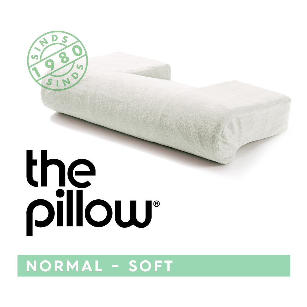 [031102] The Pillow Normal - Soft