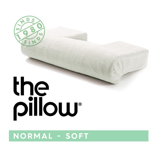 [031102] The Pillow Normal - Soft