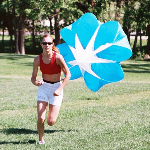 [394181] Parachute Medium