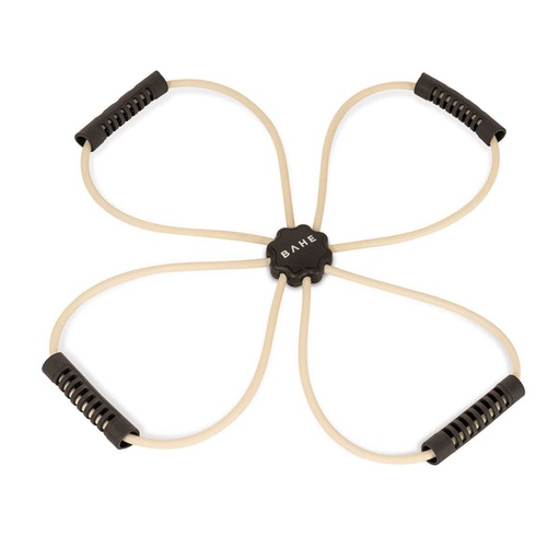 [BAHE FR DB] BAHE - FLOW REFORMER