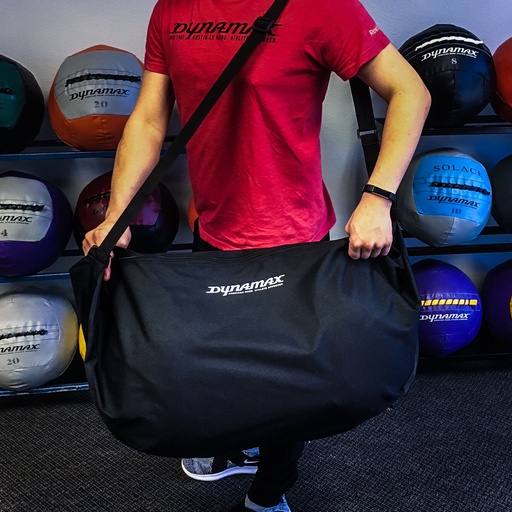 [580101] Dynamax 2 Ball Bag