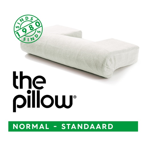 [031101] The Pillow Normal - Standaard